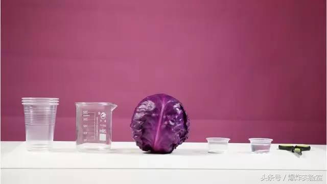 1531386971157022.jpg 2439000099171804ced2.jpg